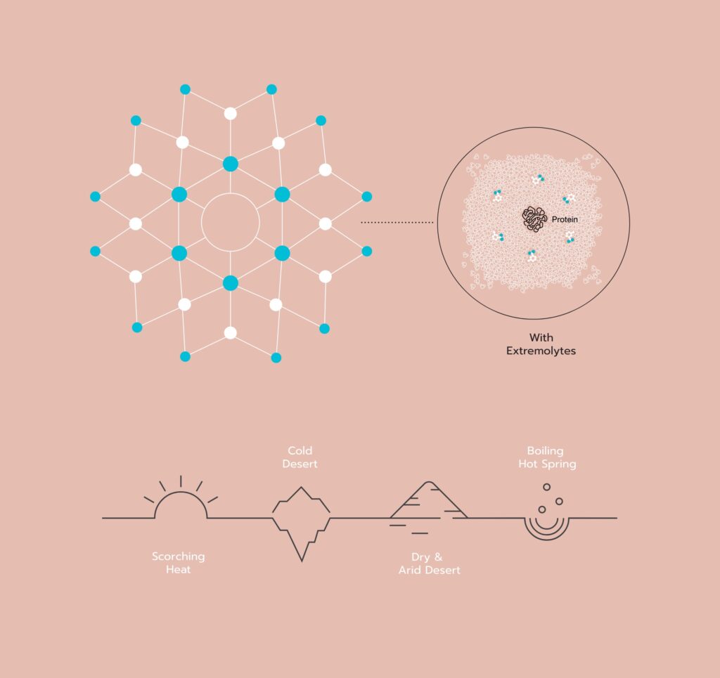 Qualisk yindee design4