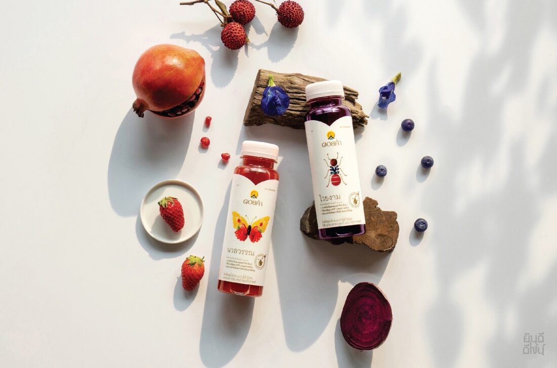 Yindee Design works Doi Kham Cold pressed Juice11