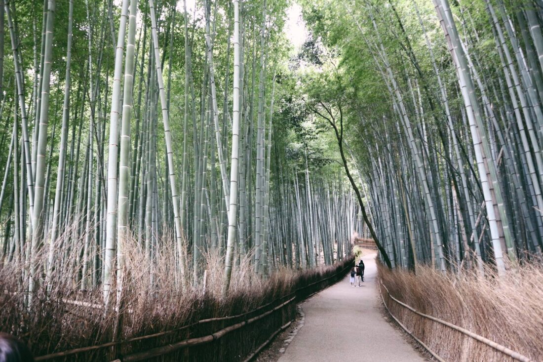 Yindee Design outing 2017 9