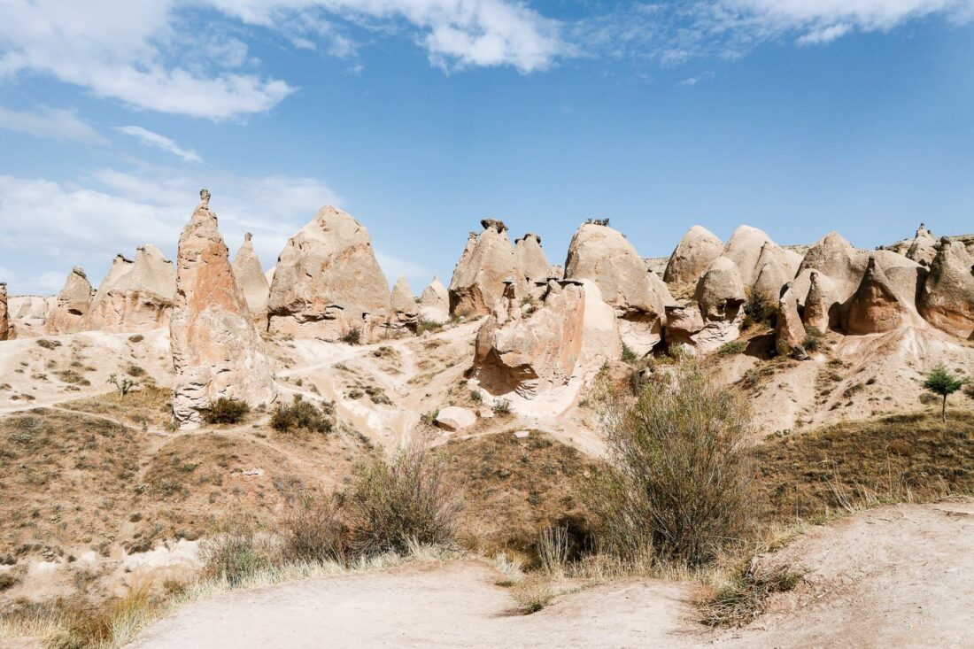 Yindee Design outing 2018 2